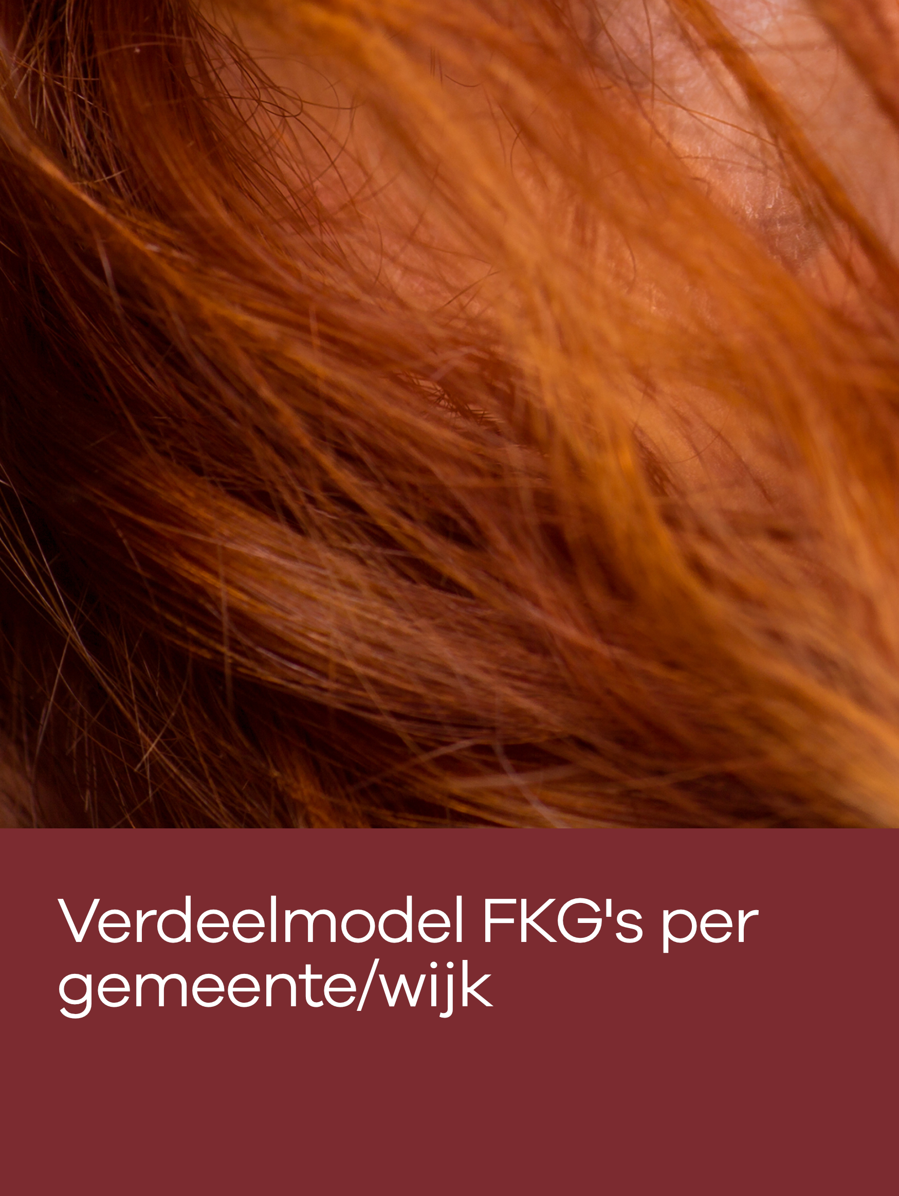 Verdeelmodel FKG’s per gemeente/ wijk: